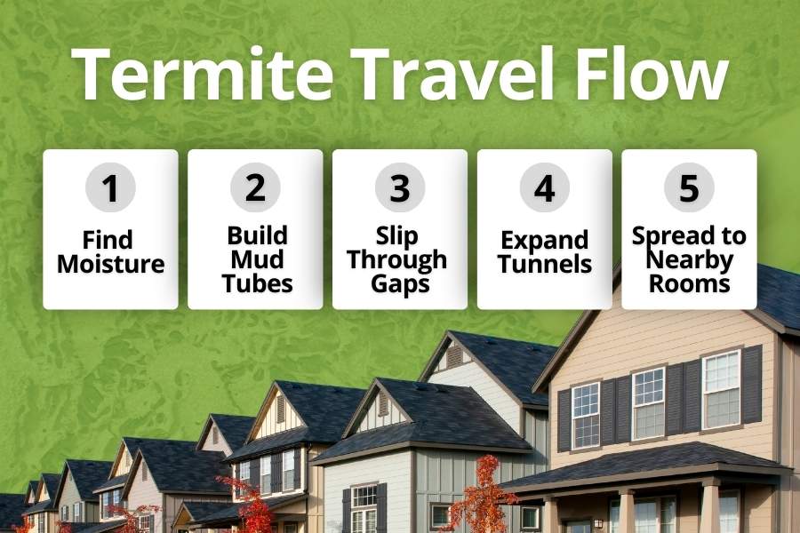 A clean infographic showing how termites travel through hidden paths and spread quietly inside a house.
