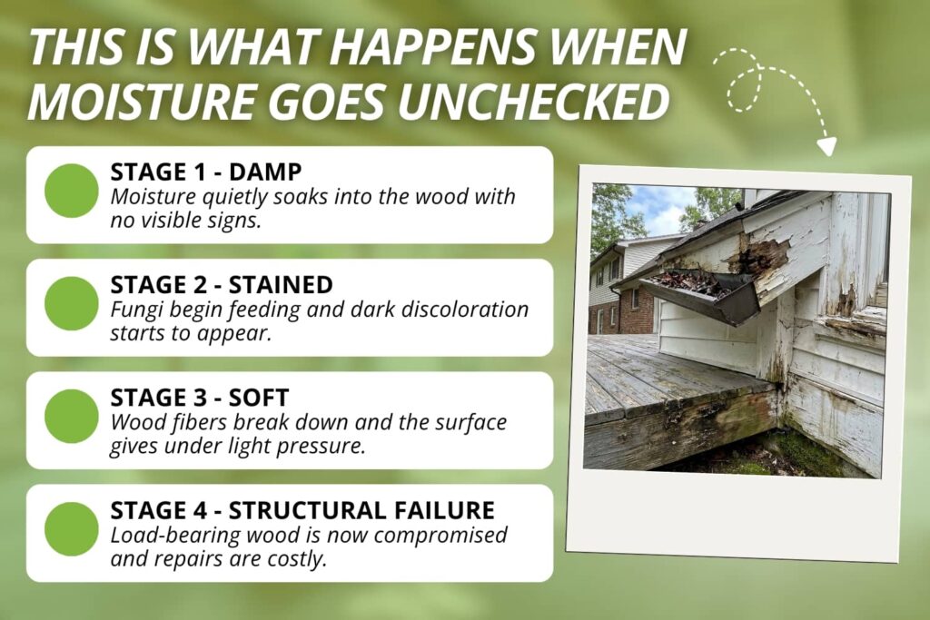 Infographic showing four stages of dry wood rot progression in Southern Indiana homes, from early moisture absorption to structural failure.