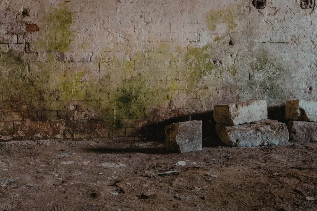A weathered basement wall with patches of green mold growth above a dirt floor featuring scattered stone blocks.
