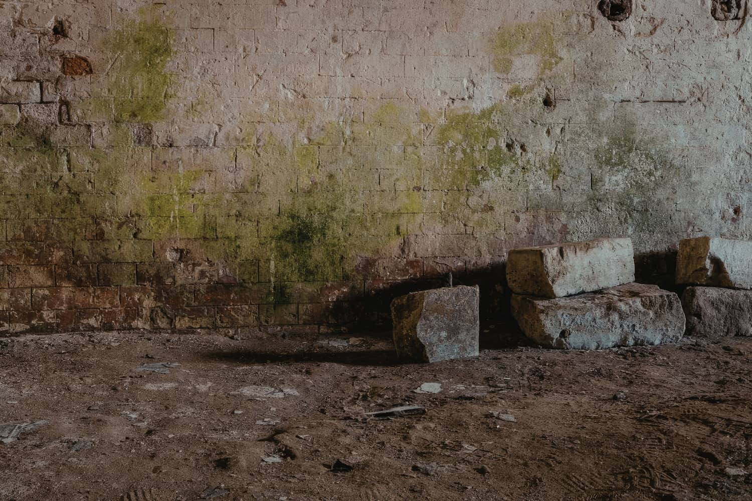 A weathered basement wall with patches of green mold growth above a dirt floor featuring scattered stone blocks.