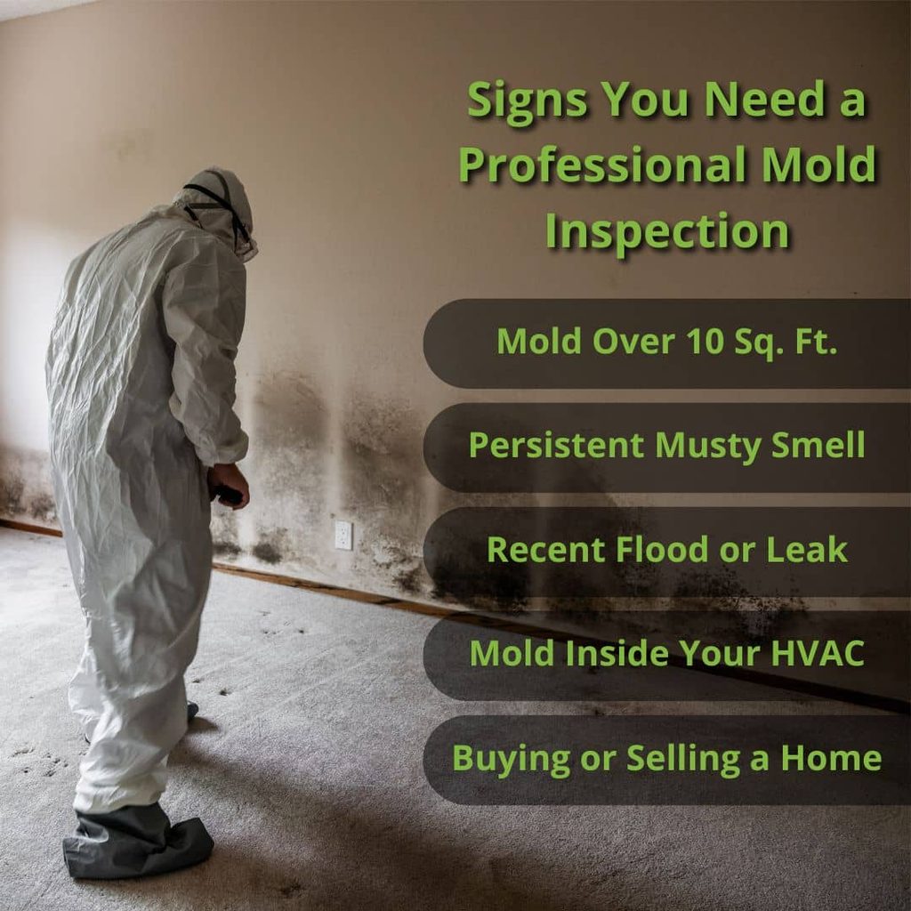 Infographic listing signs you need a professional mold inspection: mold over 10 square feet, persistent musty smell, recent flood or leak, mold inside HVAC, and buying or selling a home, with an inspector in protective gear examining a moldy wall